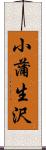 小蒲生沢 Scroll