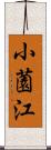 小薗江 Scroll