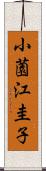 小薗江圭子 Scroll