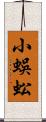 小蜈蚣 Scroll