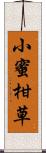 小蜜柑草 Scroll