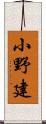 小野建 Scroll