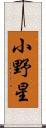 小野星 Scroll