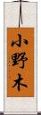 小野木 Scroll