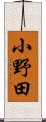 小野田 Scroll