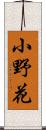 小野花 Scroll