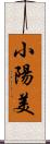 小陽美 Scroll