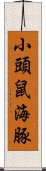 小頭鼠海豚 Scroll