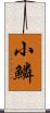 小鱗 Scroll