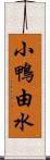 小鴨由水 Scroll