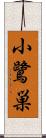 小鷺巣 Scroll