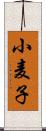 小麦子 Scroll