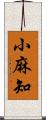 小麻知 Scroll