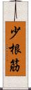 少根筋 Scroll