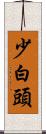 少白頭 Scroll