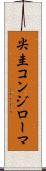 尖圭コンジローマ Scroll