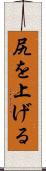 尻を上げる Scroll