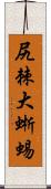 尻棘大蜥蜴 Scroll