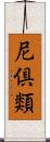 尼倶類 Scroll