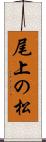 尾上の松 Scroll