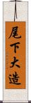 尾下大造 Scroll