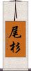 尾杉 Scroll