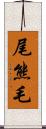 尾熊毛 Scroll