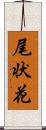 尾状花 Scroll