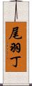 尾羽丁 Scroll