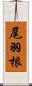 尾羽根 Scroll