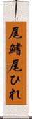 尾鰭 Scroll