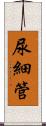 尿細管 Scroll