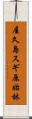 屋久島スギ原始林 Scroll