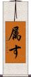 属す Scroll