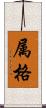 属格 Scroll