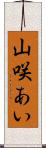山咲あい Scroll