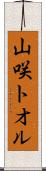 山咲トオル Scroll