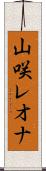 山咲レオナ Scroll