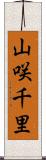 山咲千里 Scroll