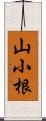 山小根 Scroll