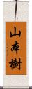 山本樹 Scroll