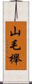 山毛櫸 Scroll