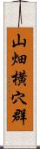 山畑横穴群 Scroll