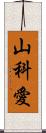 山科愛 Scroll