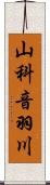 山科音羽川 Scroll