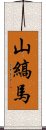 山縞馬 Scroll