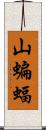 山蝙蝠 Scroll