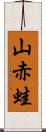 山赤蛙 Scroll