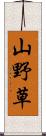 山野草 Scroll