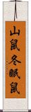 山鼠 Scroll